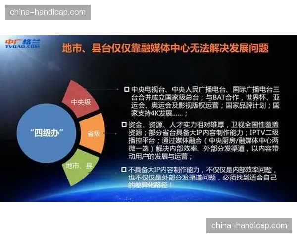 产业协作模式演进，共建立体化内容分发与保护联盟。